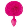 Plug anal pompon fuschia - CC5700910204