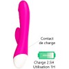 Vibromasseur rabbit rose 10 programmes USB - CR-CAV019