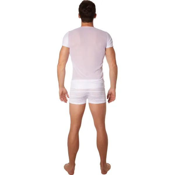 T-shirt blanc rayé opaque et transparent - LM906-81WHT