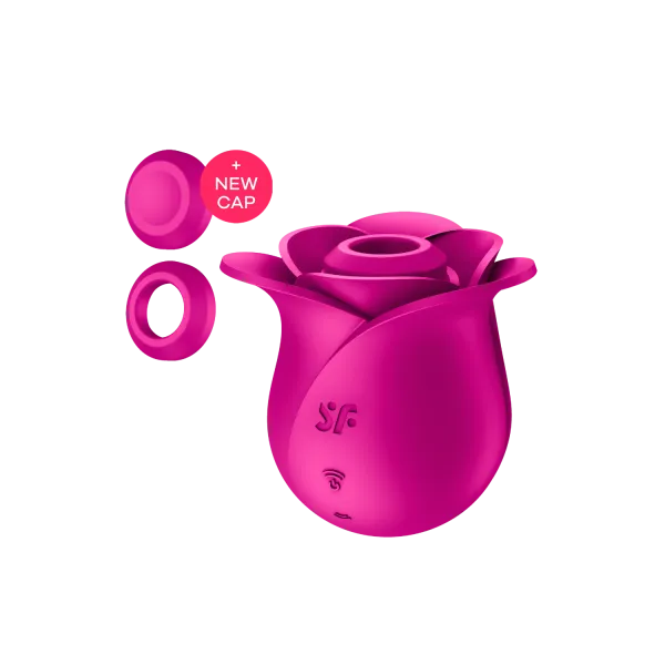 Stimulateur de clitoris rose par ondes de pression ou sans contact Pro 2 Modern Blossom Satisfyer - CC597841